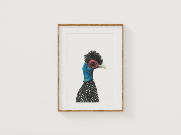 Harriet Print